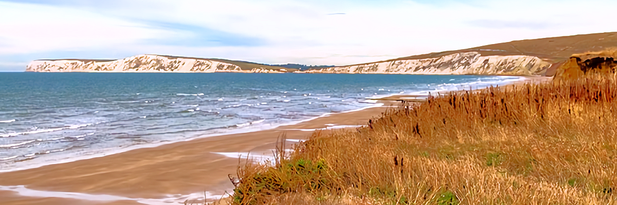 Isle of Wight Landscape
