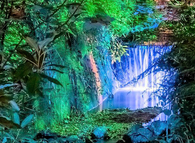 Shanklin Chine