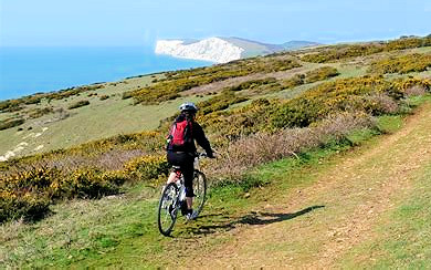 Walking & Cycling